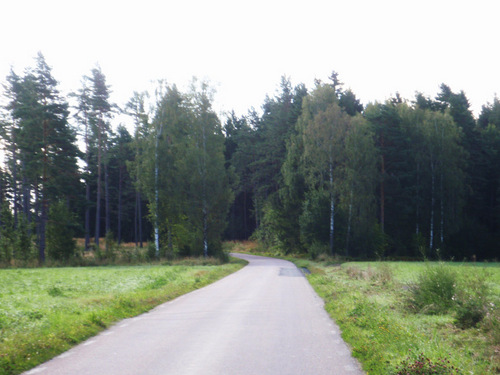 Roadway.